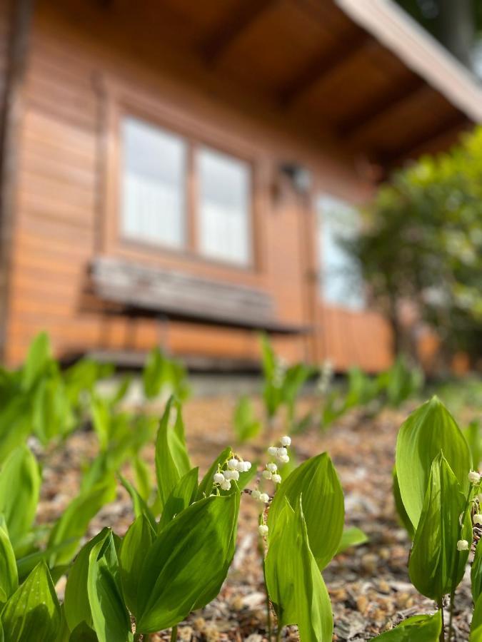 Forsthaus Langenberg Hotel Heringsdorf  Bagian luar foto